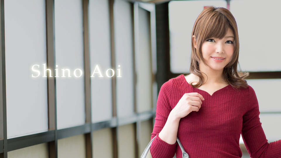 Caribbeancom 011219-837 Sexual Dream Comes True 2019  Shino Aoi